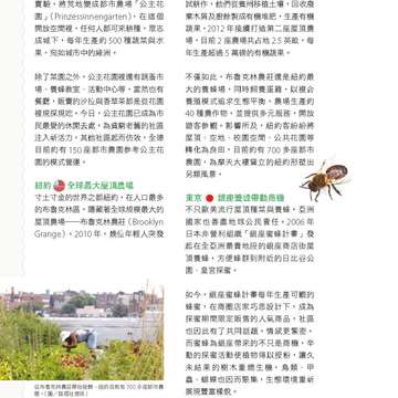 台北畫刊580期105年5月