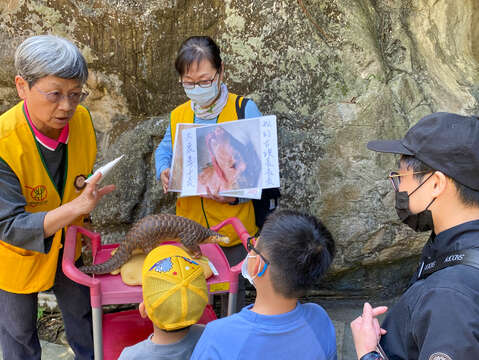 2月份的周間志工解說主題也有穿山甲(資料來源：臺北市立動物園)