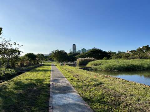 心濕地風光(圖片來源：臺北市動物保護處)