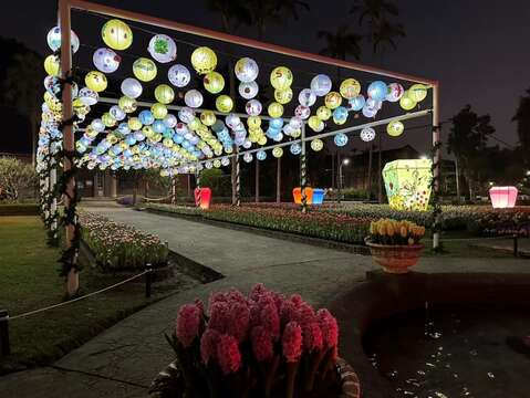 配合元宵節夜間開放點燈呈現不同的鬱金香展之美(圖片來源：臺北市政府工務局公園路燈工程管理處)