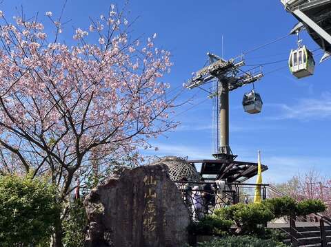 指南風景區賞櫻花美景(圖片來源：臺北市政府工務局大地工程處)