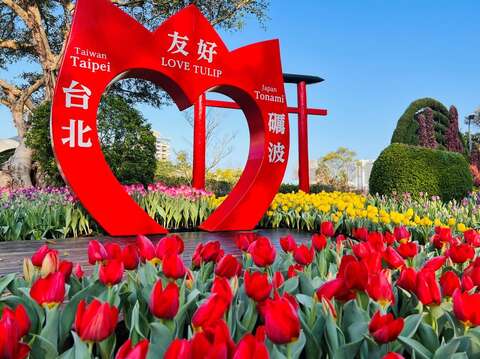 台日友好合作已邁入第六個年頭，讓市民們可在台北看到日本特有種的鬱金香(圖片來源：臺北市政府工務局公園路燈工程管理處)