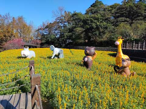 第七段-樟樹步道(圖片來源：臺北市政府工務局大地工程處)