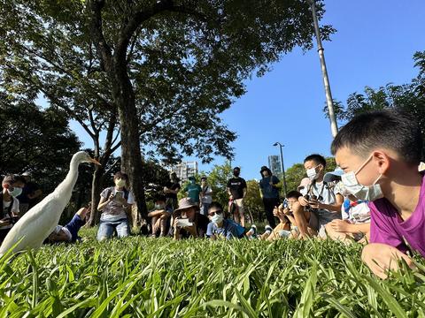春日不妨帶著孩子至大安森林公園觀察自然生態。（攝影／黃一峯）