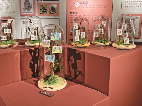 郵政博物館展出的郵票如微型畫作,可從中獲得美感體驗。(圖/郵政博物館)