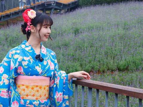 Aiko在三層崎花海親自感受臺版富良野之美(圖片來源：臺北市政府工務局公園路燈工程管理處)