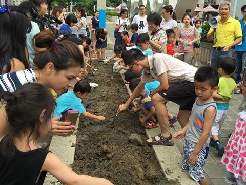 民眾動手栽種可食植物