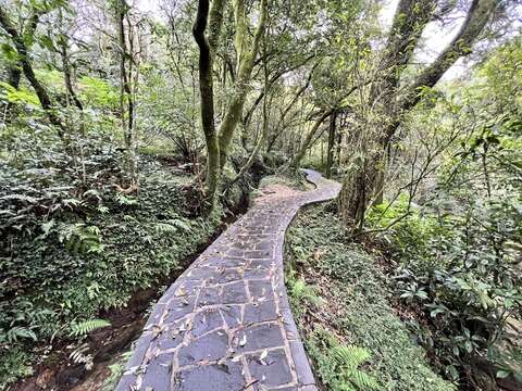 步道平坦易行，走起來身心舒暢(圖片來源：臺北市政府工務局大地工程處)