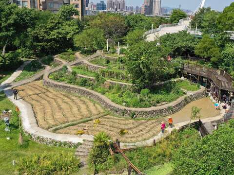 茶山水田空拍照(圖片來源：臺北市政府客家事務委員會)