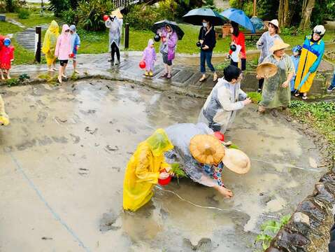 一期稻作蒔田(插秧)-民眾參與畫面(圖片來源：臺北市政府客家事務委員會)