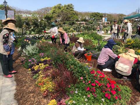 志工與同仁一同養護園藝植物佈展區。(圖片來源：臺北市政府工務局公園路燈工程管理處)