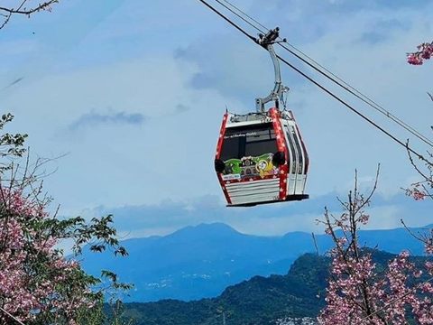 貓纜超萌新衣上路，王秋冬局長推薦貓空生態旅遊路線(圖片來源：臺北市政府觀光傳播局)