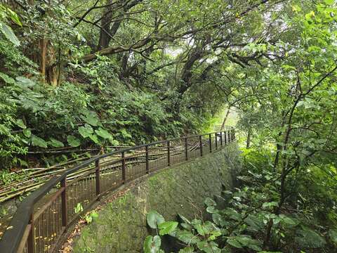 水圳步道平坦易行(圖片來源：臺北市政府工務局大地工程處)
