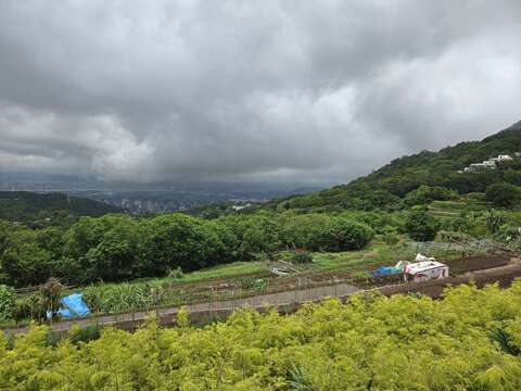 東昇步道上可欣賞梯田與關渡平原地景(圖片來源：臺北市政府工務局大地工程處)