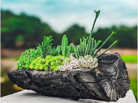 炭盆藝(圖片來源：臺北市政府工務局大地工程處)