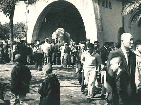 動物園看大象（由徐素津提供）(圖片來源：臺北市立圖書館)