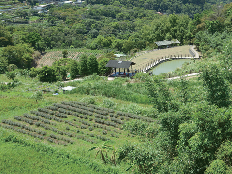 在貓空漫遊可見優美山景及農家茶園風光。（攝影／李智為）