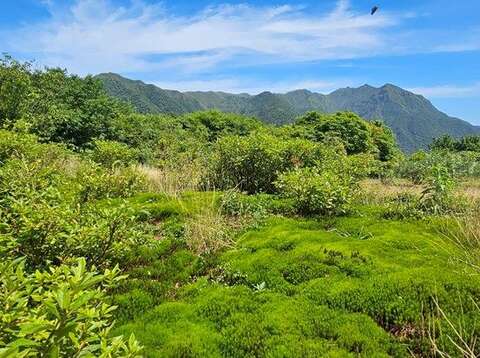 土馬騌地景(圖片來源：臺北市政府工務局大地工程處)