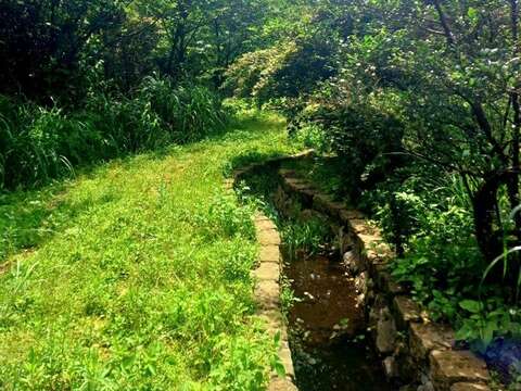圳路步道(圖片來源：臺北市政府工務局大地工程處)