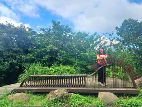 湖田後山梯田平台(圖片來源：臺北市政府工務局大地工程處)
