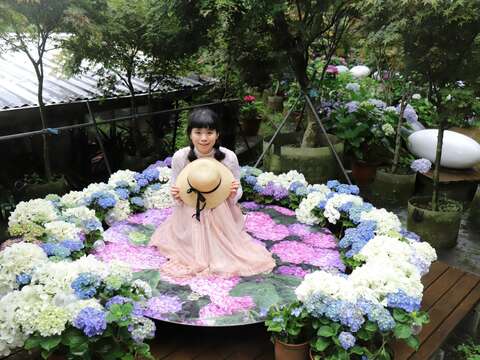 大梯田生態農園(圖片來源：臺北市政府產業發展局)