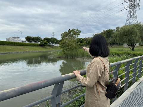 園區內濕地賞鳥好地方(圖片來源：臺北市政府工務局公園路燈工程管理處)