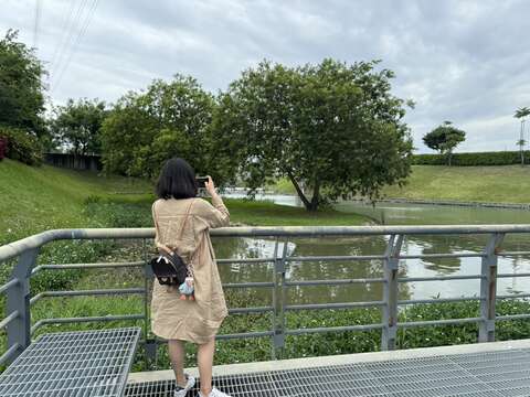 園區內水岸拍照景點(圖片來源：臺北市政府工務局公園路燈工程管理處)