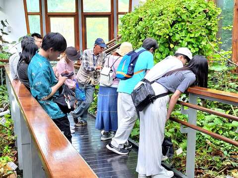 志工老師用風趣又淺顯易懂的方式介紹植物。(圖片來源：臺北市政府工務局公園路燈工程管理處)