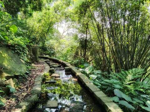 溪山百年古圳南側段跳石步階(圖片來源：臺北市政府工務局大地工程處)