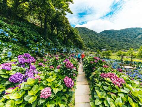 竹子湖豐富的地形變化，營造不同的視覺饗宴(圖片來源：臺北市政府工務局公園路燈工程管理處)