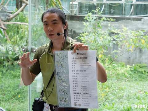 動物園無尾熊館館長透過保母講古解說無尾熊食性(圖片來源：臺北市立動物園)