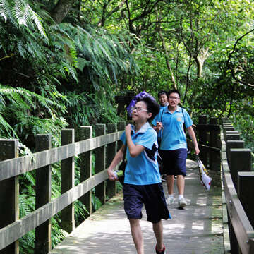 徜徉森林步道，給自己一個清涼消暑的夏日活動。