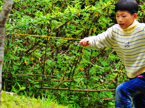 給自己一場森活夏日的挑戰！
