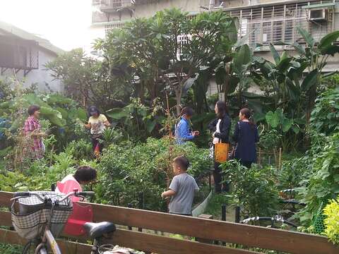 中正區永昌里歡喜農園建置完成後２