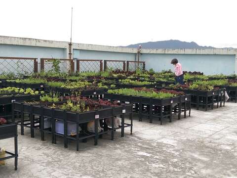 松山區民生社區活動中心屋頂