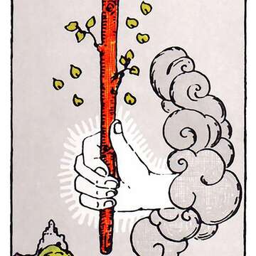 Ace of Wands