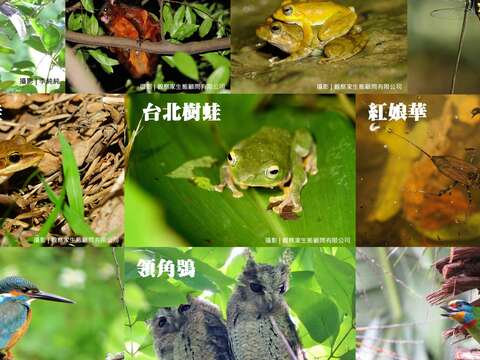 永春陂代言候選人們