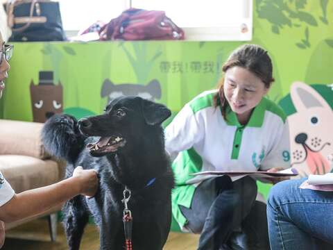 狗醫生協會訓練師在內湖動物之家挑選具有狗醫生潛力，適合「流浪毛小孩摘星計畫」的犬隻。（圖／台北市動物保護處提供）