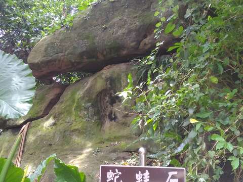 圖11.蛇蛙石