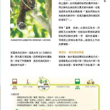 台北畫刊583期105年8月