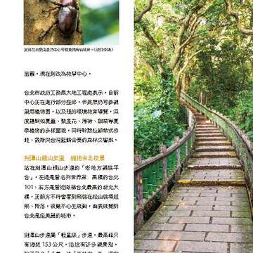 台北畫刊583期105年8月
