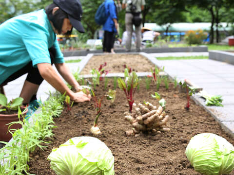 Gardeners City residents of all ages can farm in this cement jungle