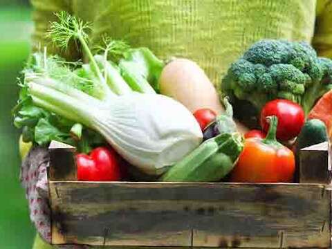 Homegrown Foods