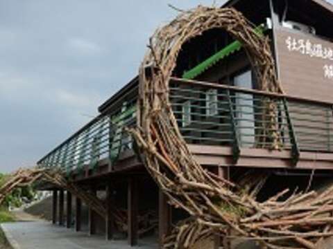 Summer Fun for Kids at Shezidao Wetlands