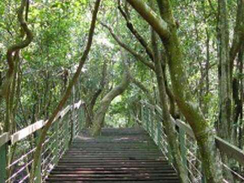 BTDO to Organize Zhongyi Mountain Hiking Trip in September