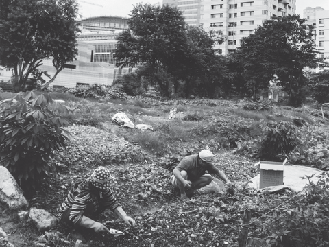 2001年信義計畫區及建造中的台北101大樓。（攝影／杭大鵬）