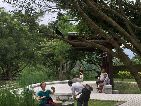 情人湖-情人椅
