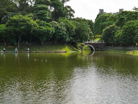 圖1.湖光山色的南港公園