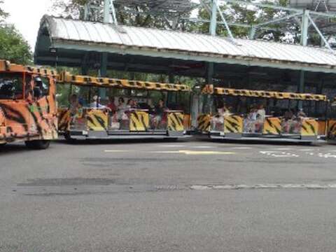 老虎斑紋列車