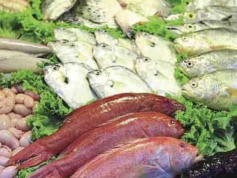 上引水產 中山區民族東路410巷2弄18號